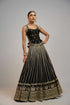 Golconda Kriti lehenga set